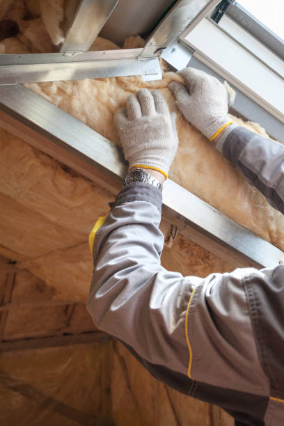 Best Types of Insulation in Burbank, CA