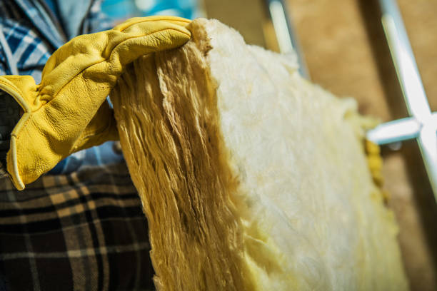 Best Specialty Insulation in Burbank, CA