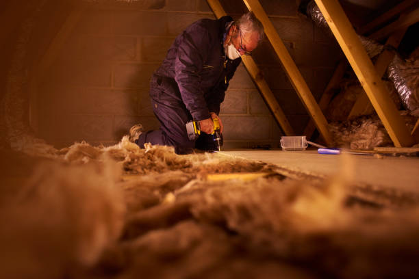 Best Insulation Installation Services in Burbank, CA