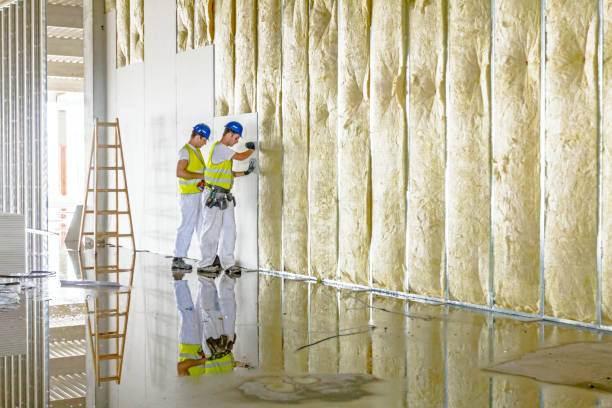 Best Commercial Insulation in Burbank, CA